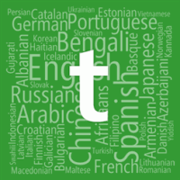 T-Translator для HTC Titan