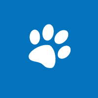 LinguaLeo для Microsoft Lumia 532