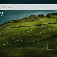 Bing будет знать о людях, которые ищут в сети детскую порнографию.