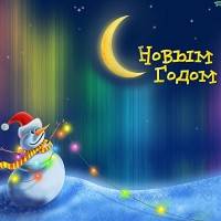 С Новым Годом, винфоновцы!