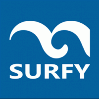 Surfy для HTC Radar