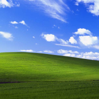 Легендарному фото из Windows XP исполнилось 20 лет