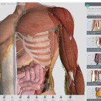 На Windows 10 вышло популярное приложение Complete Anatomy