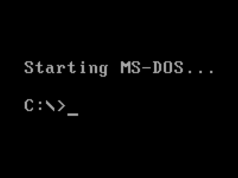 MS_DOS