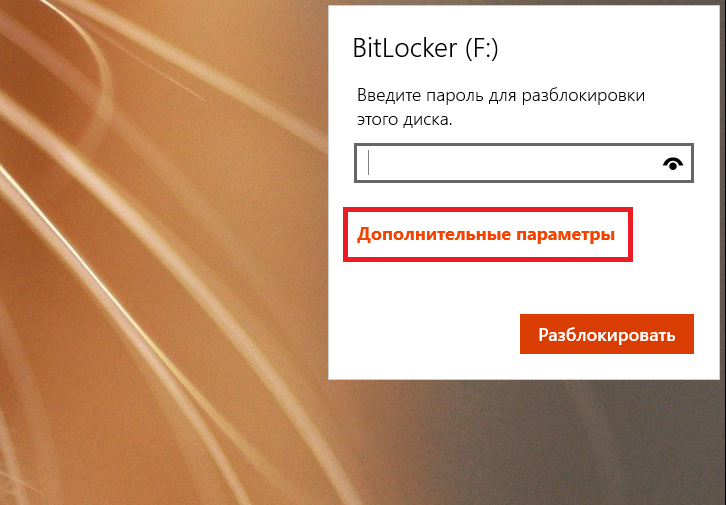 BitLocker (13)