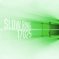 Сборка 17025 доступна в Slow Ring