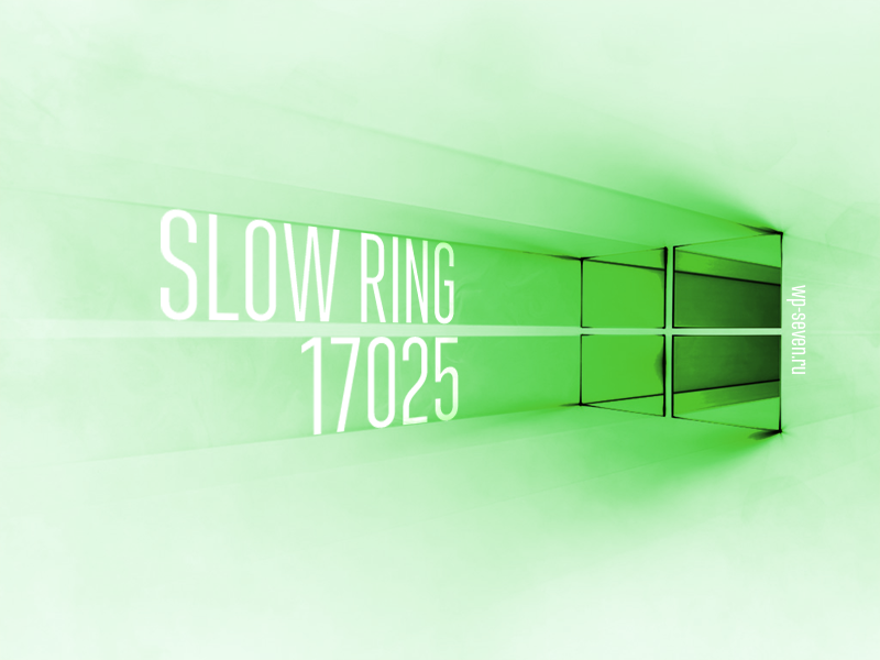 Slow Ring 17025