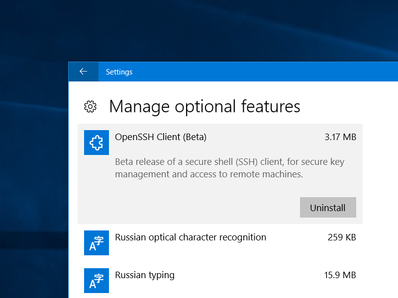 OPENSSH Windows 10. Как установить OPENSSH Windows 10. Optional features. Optional features Windows 10 что это. Option features