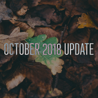 Доля October 2018 Update едва превышает 6%
