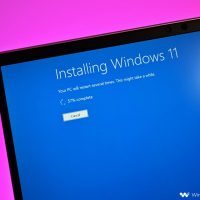 Microsoft предложила решение проблемы, из-за которой пользователи Windows 11 не могли перейти на канал Beta