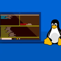 Microsoft превратила подсистему Windows для Linux в приложение для Windows 11