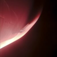 SpaceX показала Землю «глазами» Starship из космоса [ФОТО]