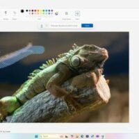 Paint получил две ИИ-функции Photoshop