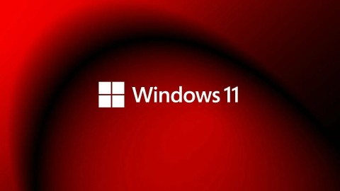 Свежий апдейт Windows 11 «сломал» сразу четыре функции ОС