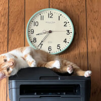 Windows 11 перестанет поддерживать устаревшие драйвера принтеров V3 и V4 после следующего обновления