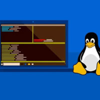 Windows 11 получит более глубокую интеграцию с Linux — специально для разработчиков