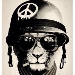 Рисунок профиля (%s)