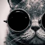 Рисунок профиля (%s)