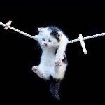 Рисунок профиля (%s)