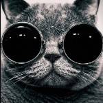 Рисунок профиля (%s)