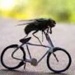 Рисунок профиля (%s)